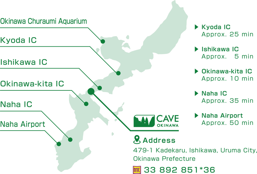 Access Map