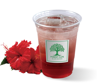 Hibiscus Drink