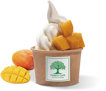 Soft‑serve Ice Cream
