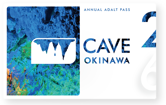 大人年間パスポート