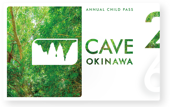 子供年間パスポート