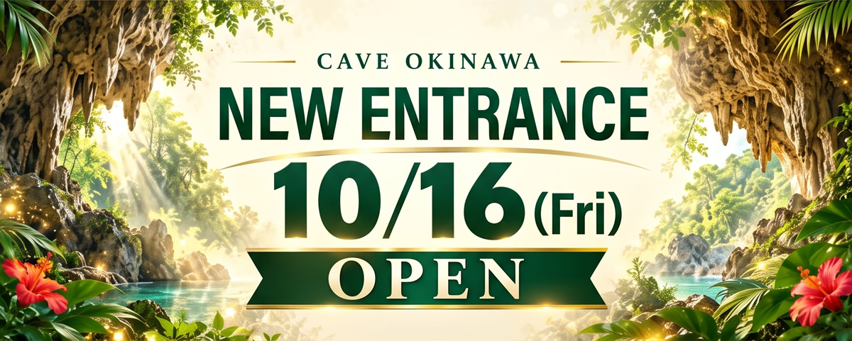 new entrance 10/16(fri) open
