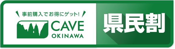 ケイブオンラインチケットで事前購入でお得にゲット！