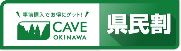 ケイブオンラインチケットで事前購入でお得にゲット！