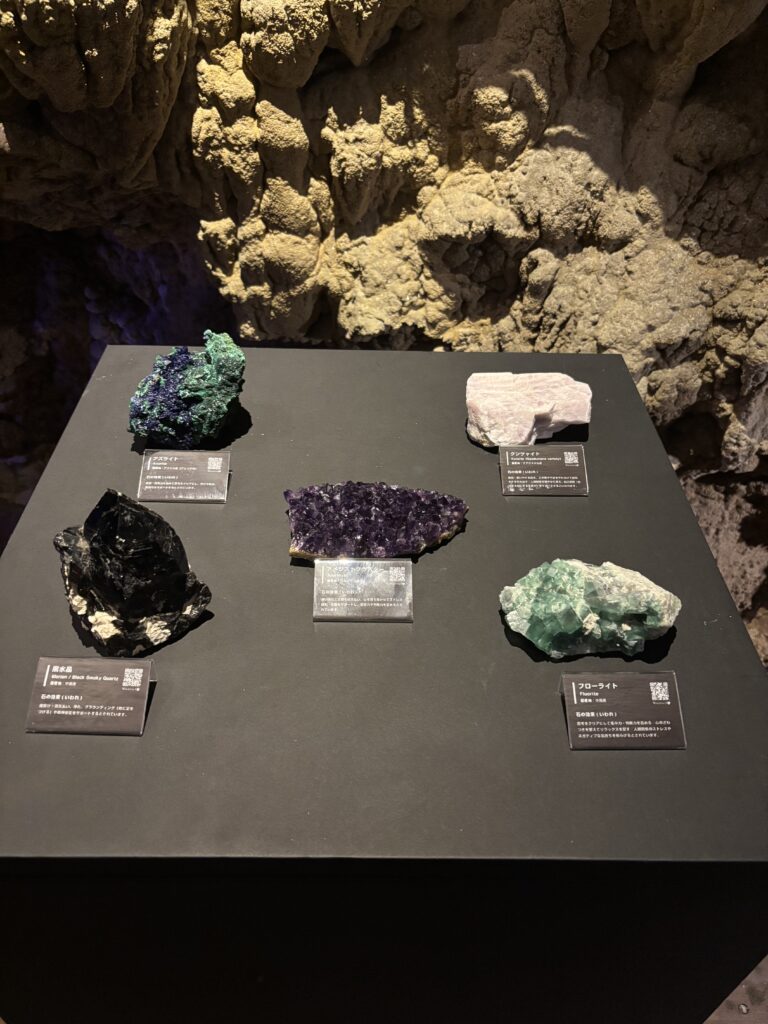 新エリア公開✨「地球が生んだ美しい宝物」